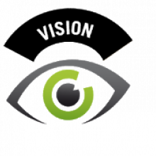 vision